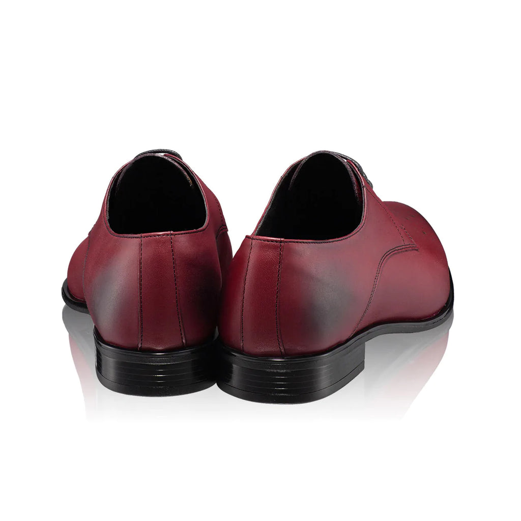 Pantofi bordo clasici barbati