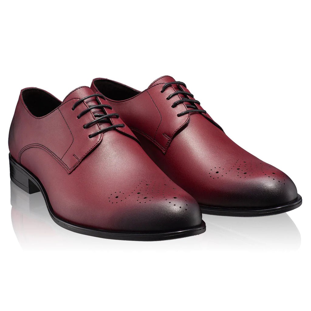 Pantofi bordo clasici barbati