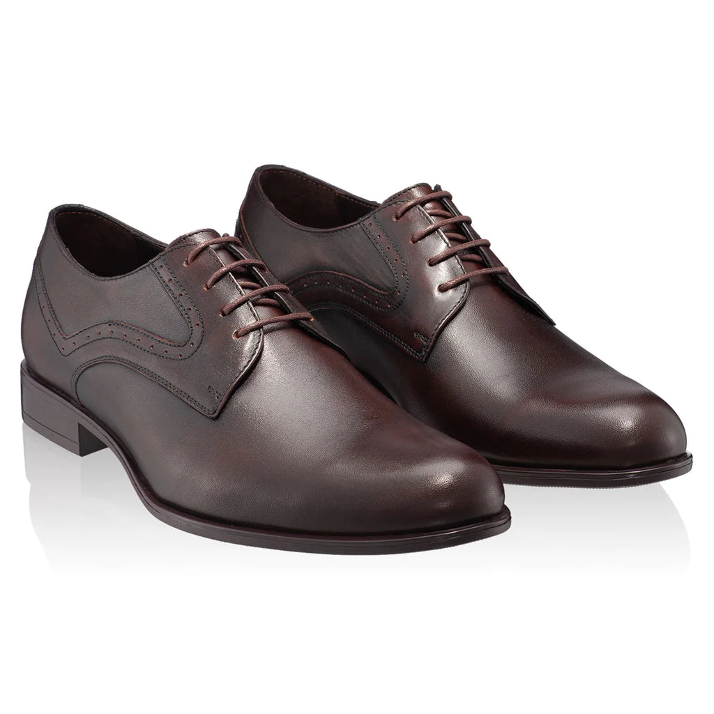Pantofi maro clasici barbati